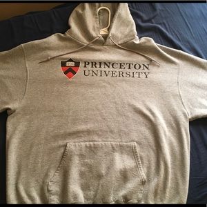 Princeton University Champion Grey Hoodie